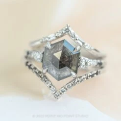 2.59 Carat Black Speckled Hexagon Diamond Engagement Ring, Ombre Eliza Setting, 14K White Gold