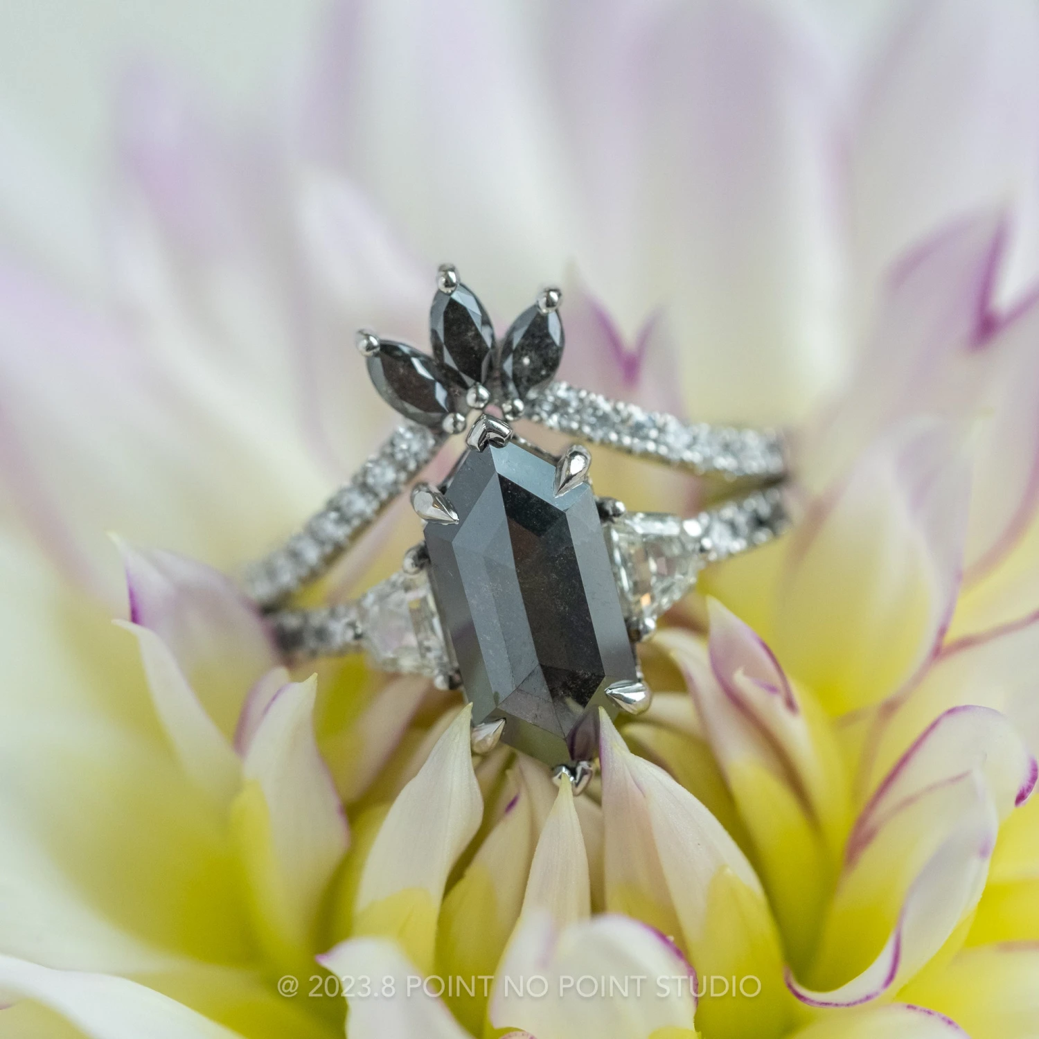 3.12 Carat Black Hexagon Diamond Engagement Ring, Eliza Setting, Platinum - Image 3
