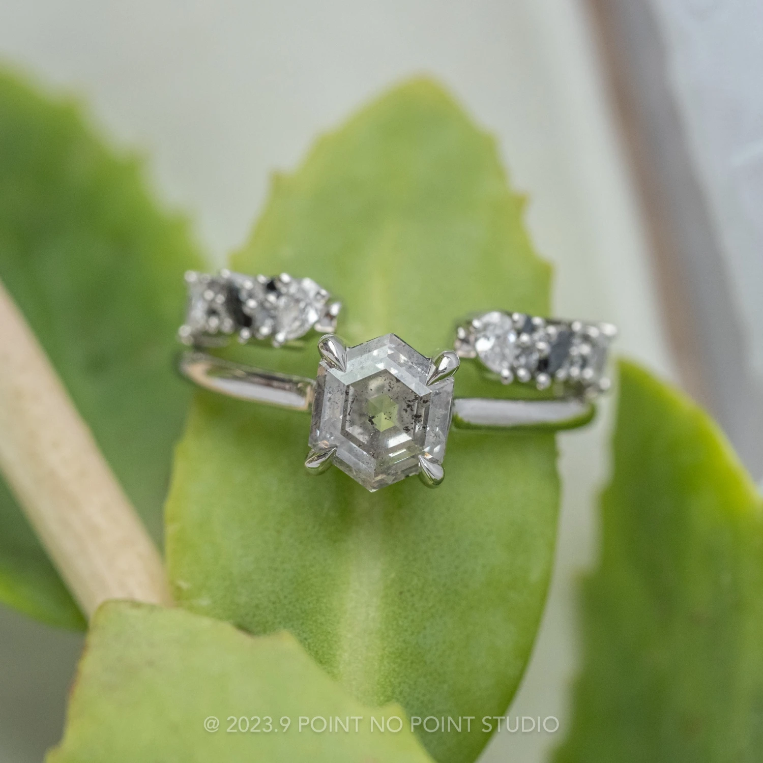 1.66 Carat Canadian Salt And Pepper Hexagon Diamond Engagement Ring, Lark Setting, Platinum - Image 3